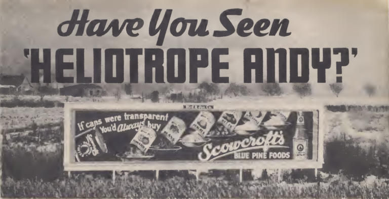 Header from "Veil of Mystery: Have You Seen Heliotrope Andy?" American Detective magazine, August 1936, showing the Scowcroft's Blue Pine Foods billboard on Wall Avenue in Ogden, Utah, behind which Anna Eddy Haworth's body was found on May 19, 1928.